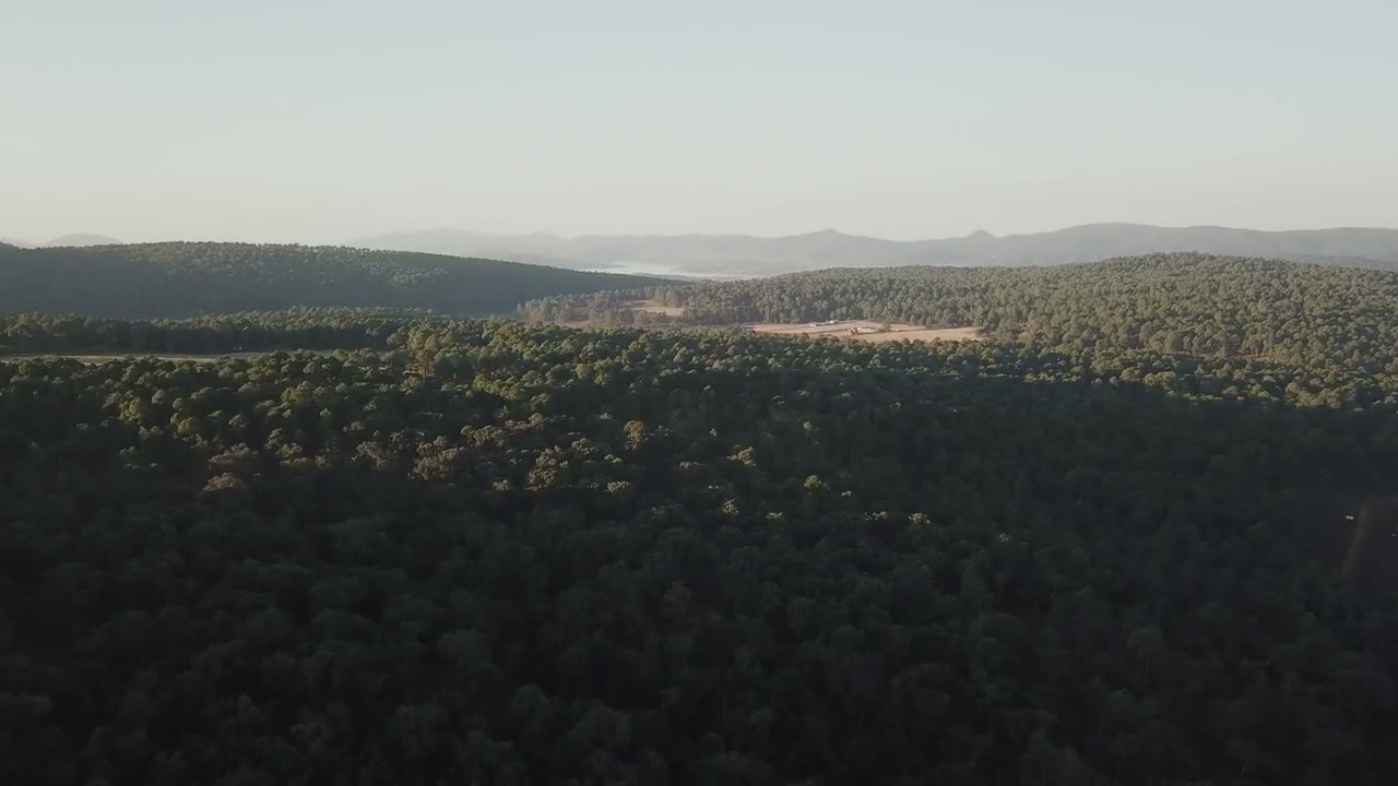Attività ambientale per la cura del territorio